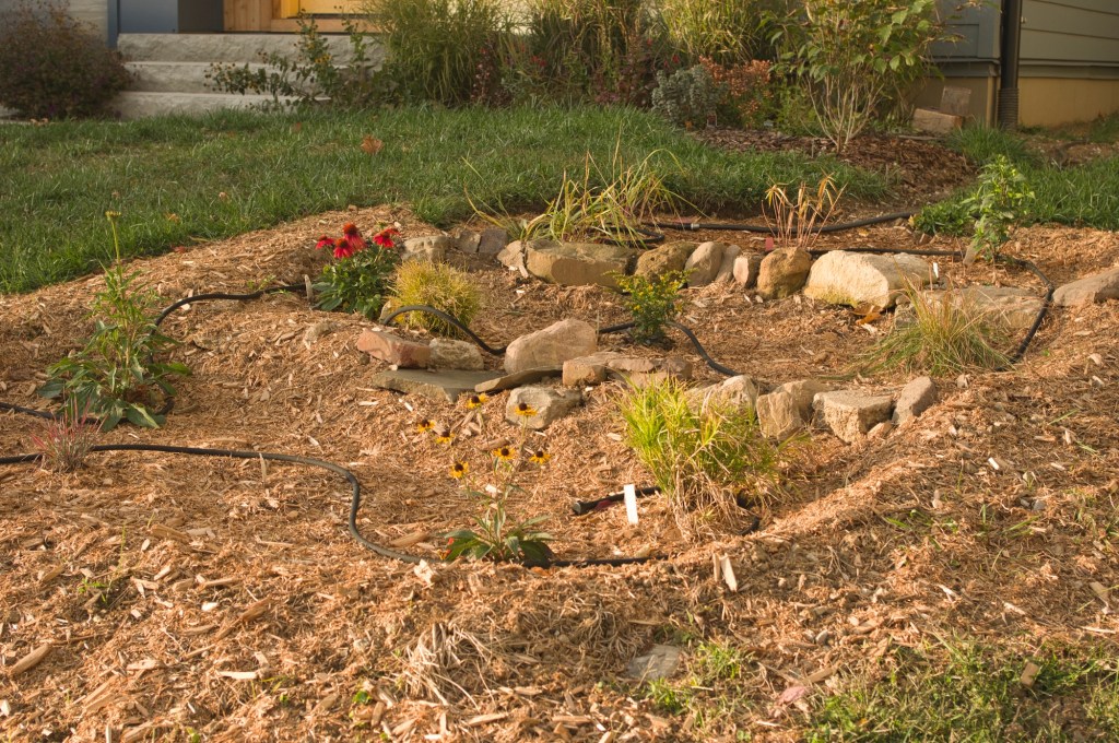 Clintonville Passive House rain garden in front lawn