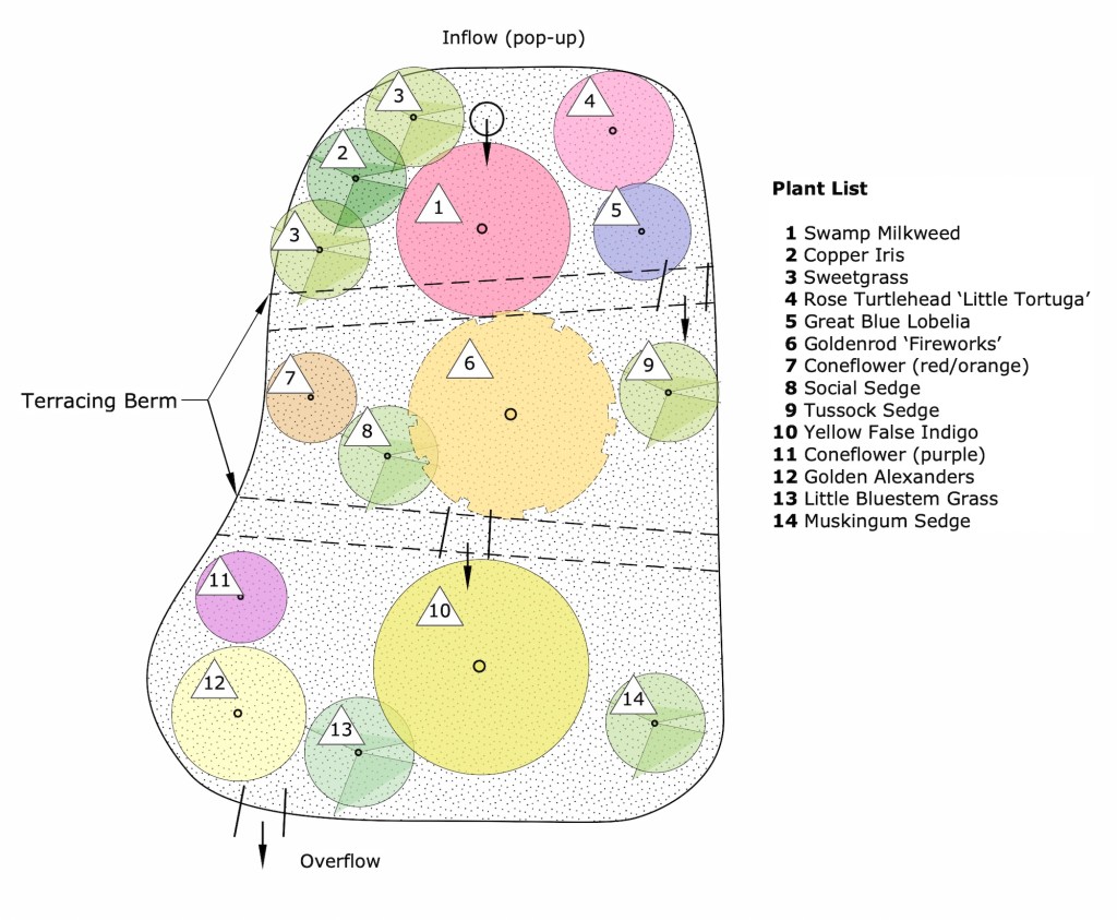 Rain garden site plan and planting list